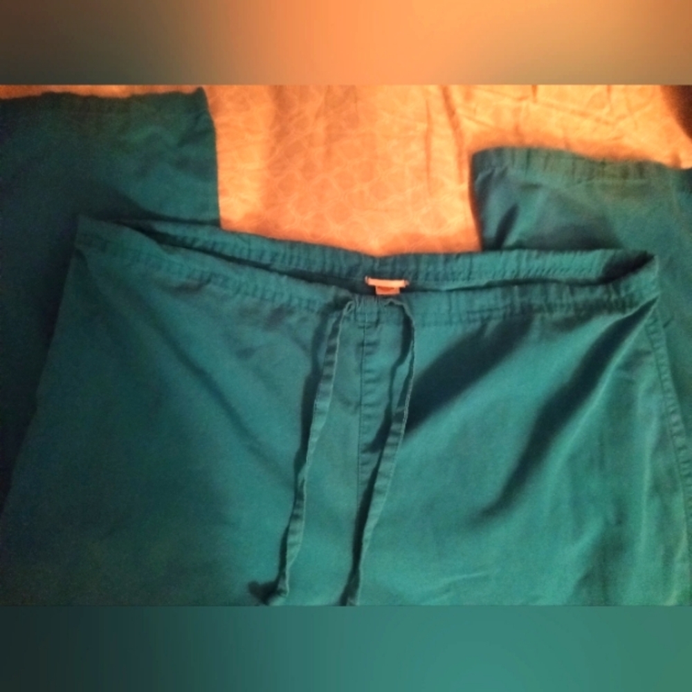 Womans Teal Scrubs, Dickies, Large